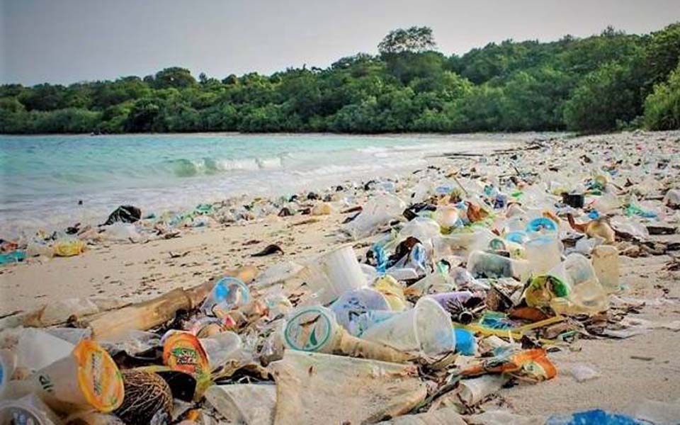 Plastic washed on Ujung Kulon National Park beach – December 3, 2017 (Oclean Indonesia)
