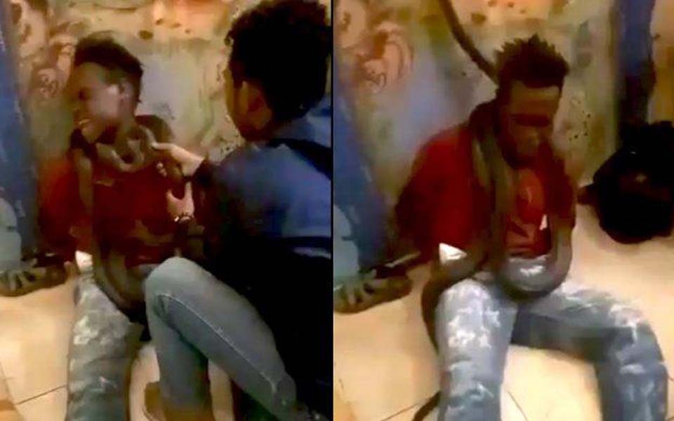 Stills from video of police interrogating man with snake (Twitter)