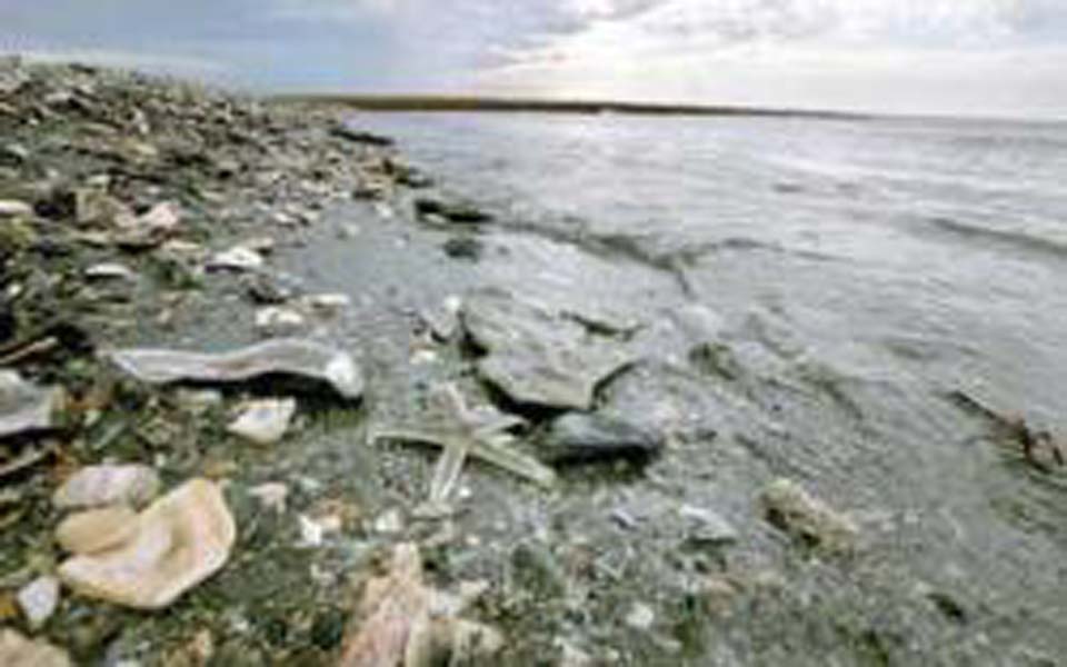 Polluted beach at Buyat Bay in East Java (Tribune)