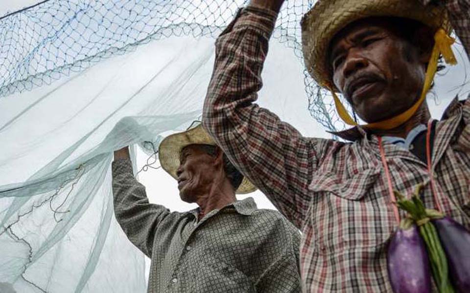 Farmers protest in front of State Palace (Viva)